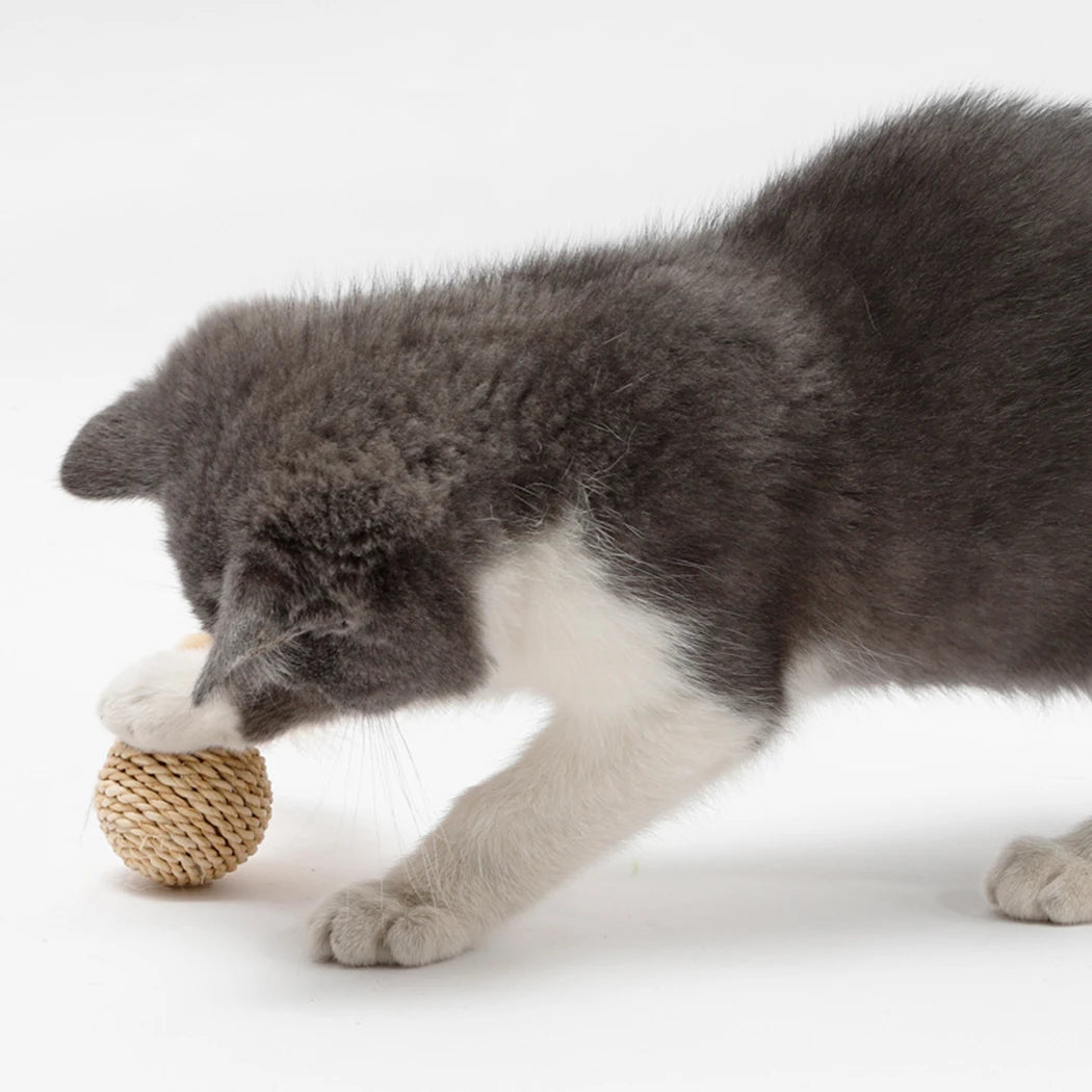 Interactive Cat Ball with Bell