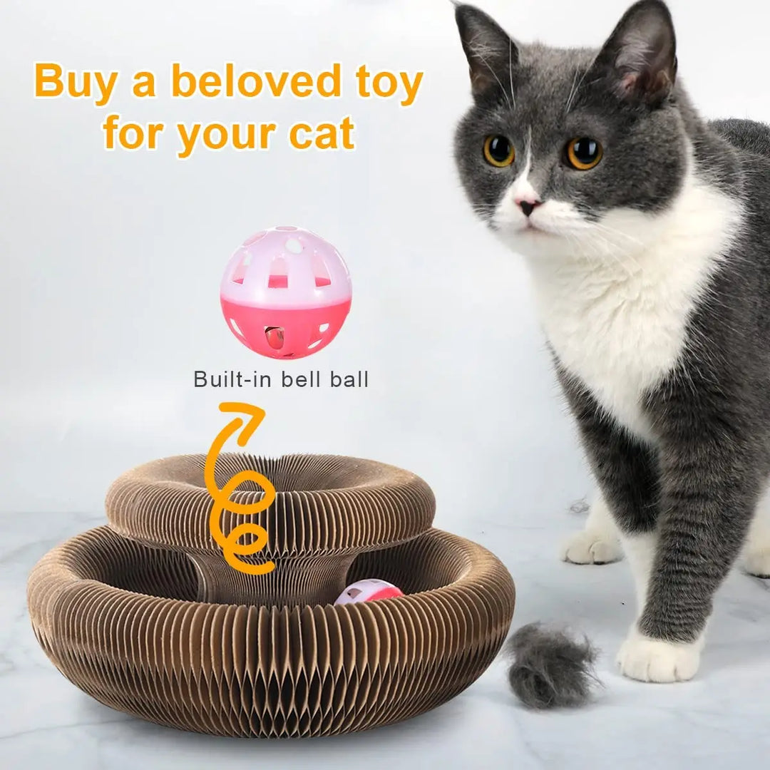 Interactive Cat Scratch Board Toy
