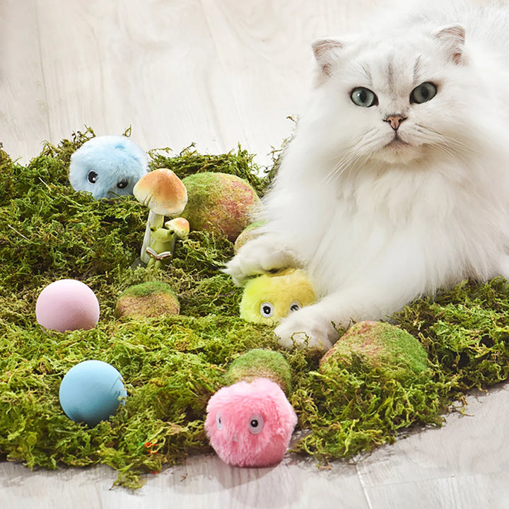 Interactive Cat Training Toy with Catnip Ball
