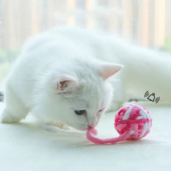 Interactive Chewing Toy for Kittens
