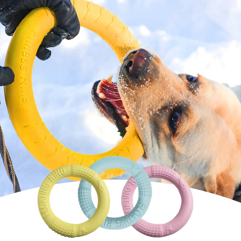 Interactive Dog Training Ring Toy
