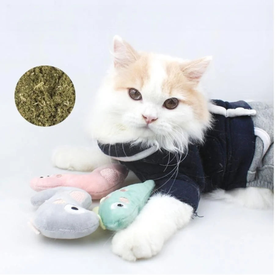 Interactive Plush Cat Molar Toy
