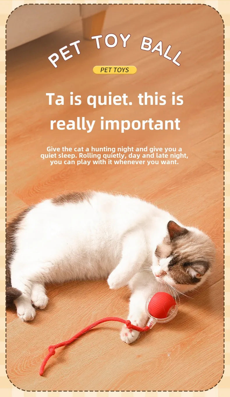 Interactive Rechargeable Cat Toy Ball