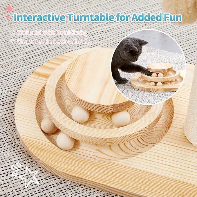 Interactive ball track cat toy
