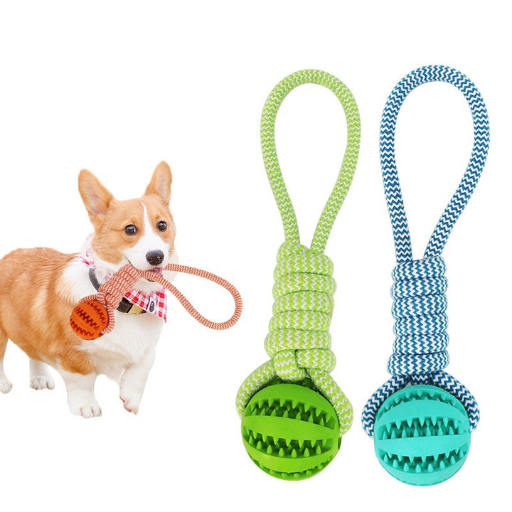 Interactive dog treat ball with rope