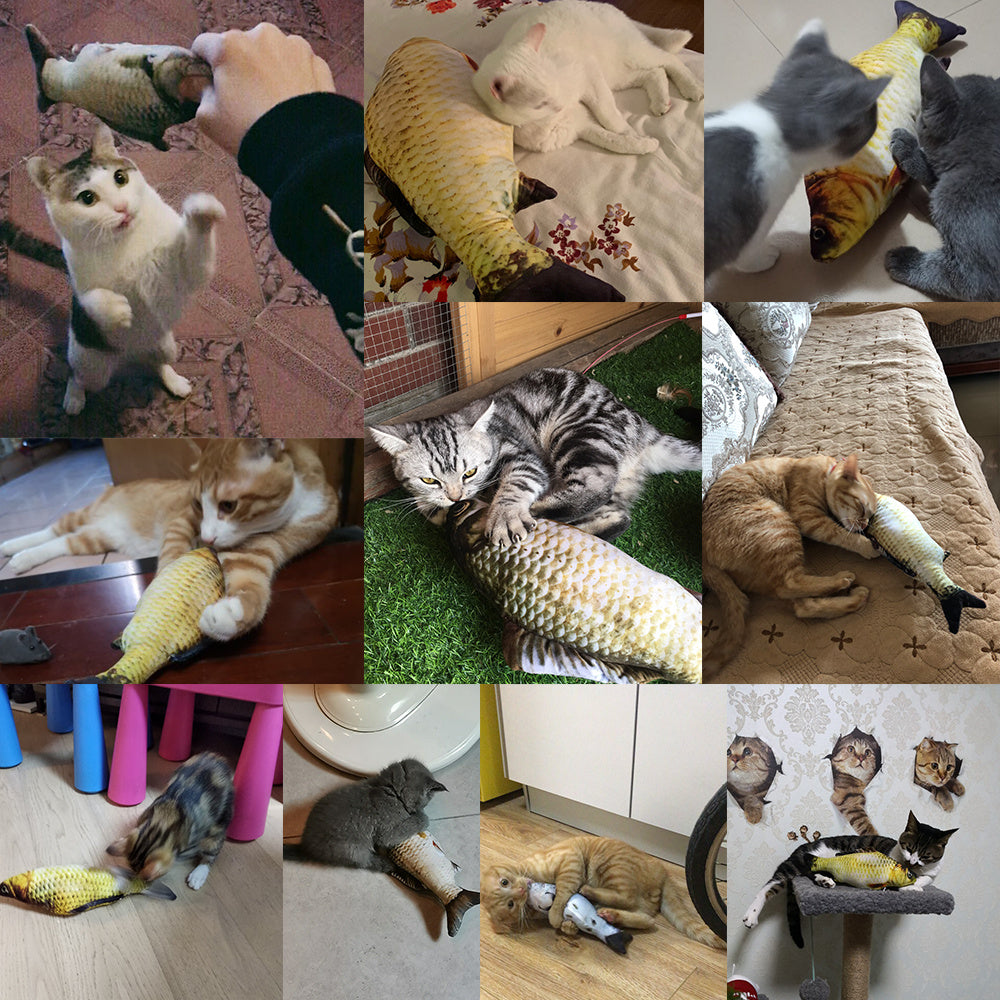 Interactive electric fish toy for pets