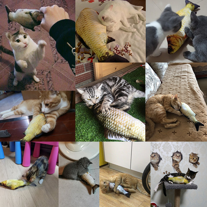 Interactive electric fish toy for pets