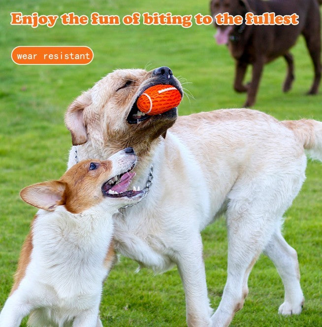 Interactive fetch toy for dogs