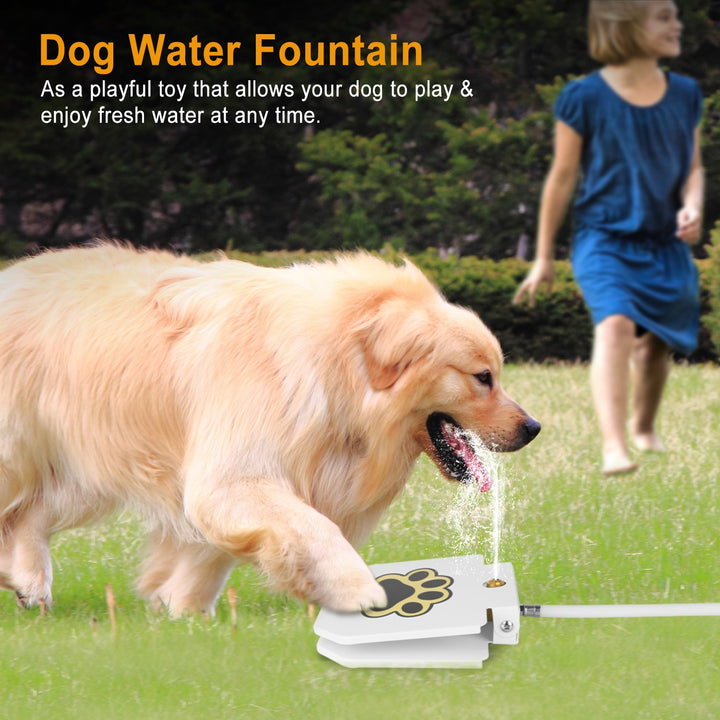 Interactive pet fountain with paw control