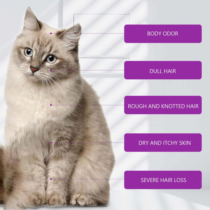 Itchy skin relief pet shampoo