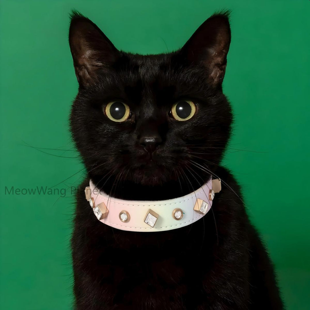 Jewel accented collar for pets