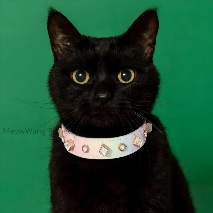 Jewel accented collar for pets