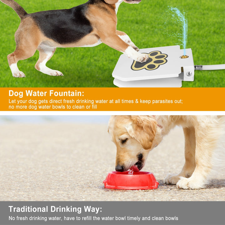 KLD The Shop dog drinking fountain sprinkler