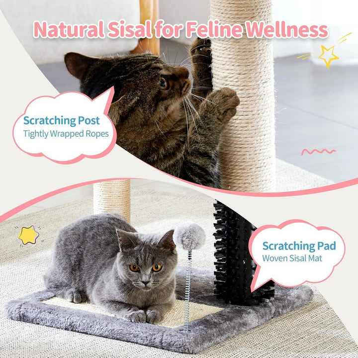 KLD The Shop multi-functional cat furniture for indoor cats