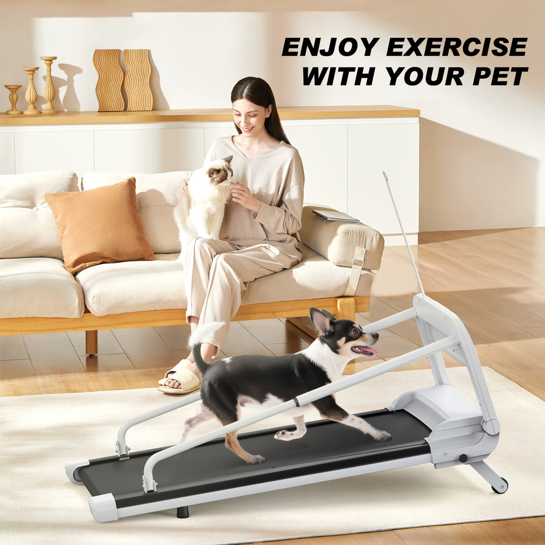 KLD The Shop pet treadmill quiet and durable design