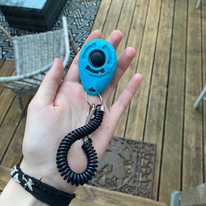 Key chain clicker for pet training