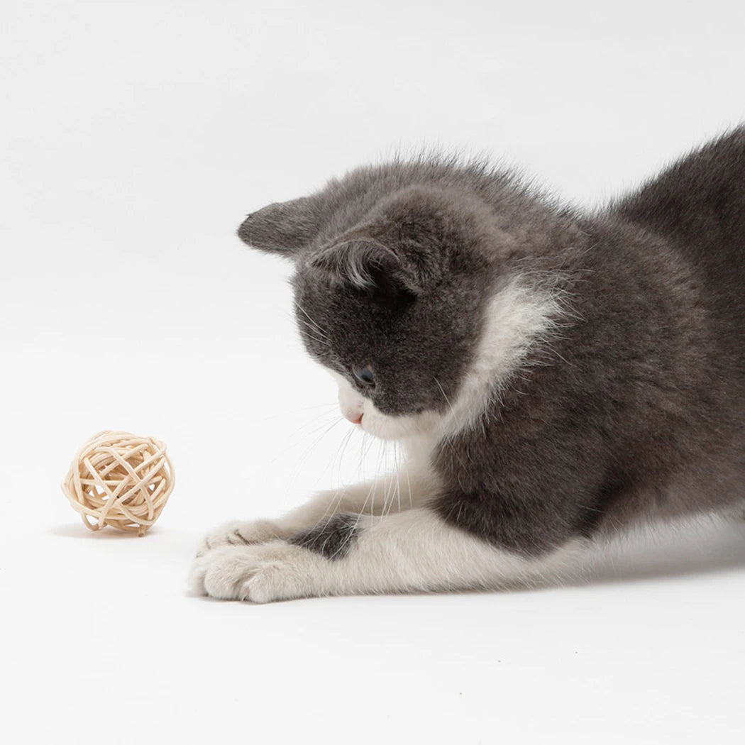 Kitten Bell Ball with Feather