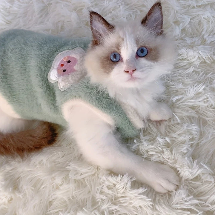 Kitten Winter Sweater for Pets
