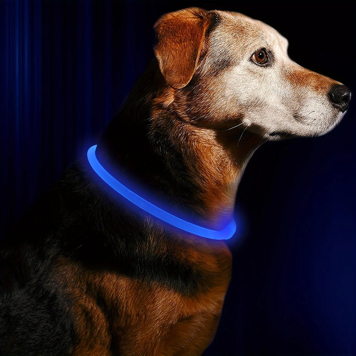 LED Anti-Lost Collar for Pets