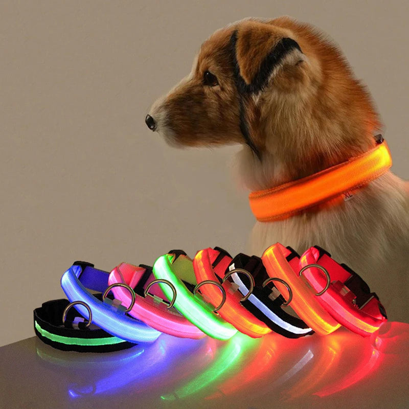 LED Dog Collar with USB Charging