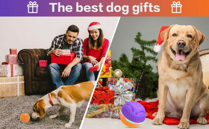 LED Flash Motion Dog Toy