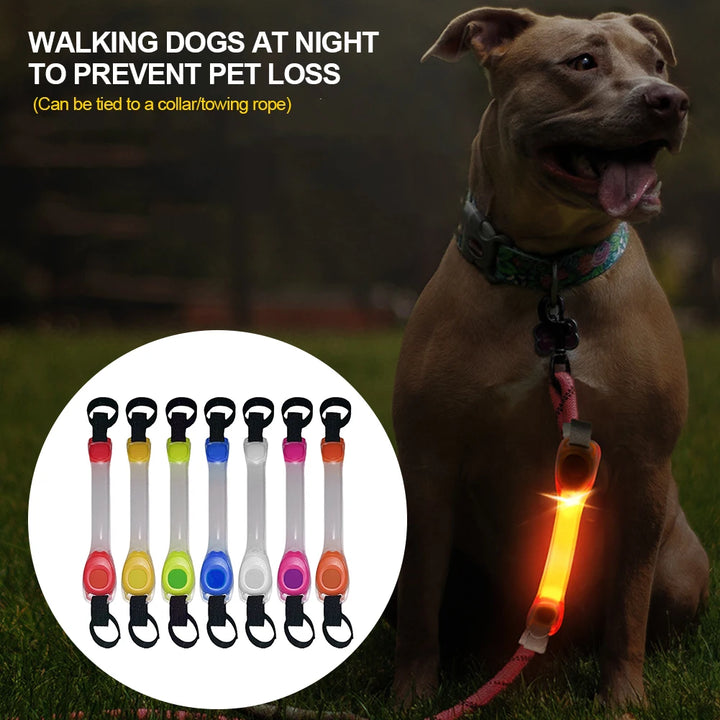 LED Flashing Dog Collar for Safety