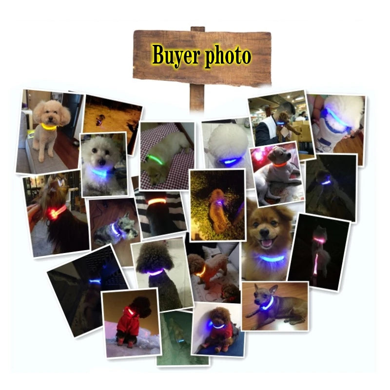 LED Light-Up Dog Collar for Puppies