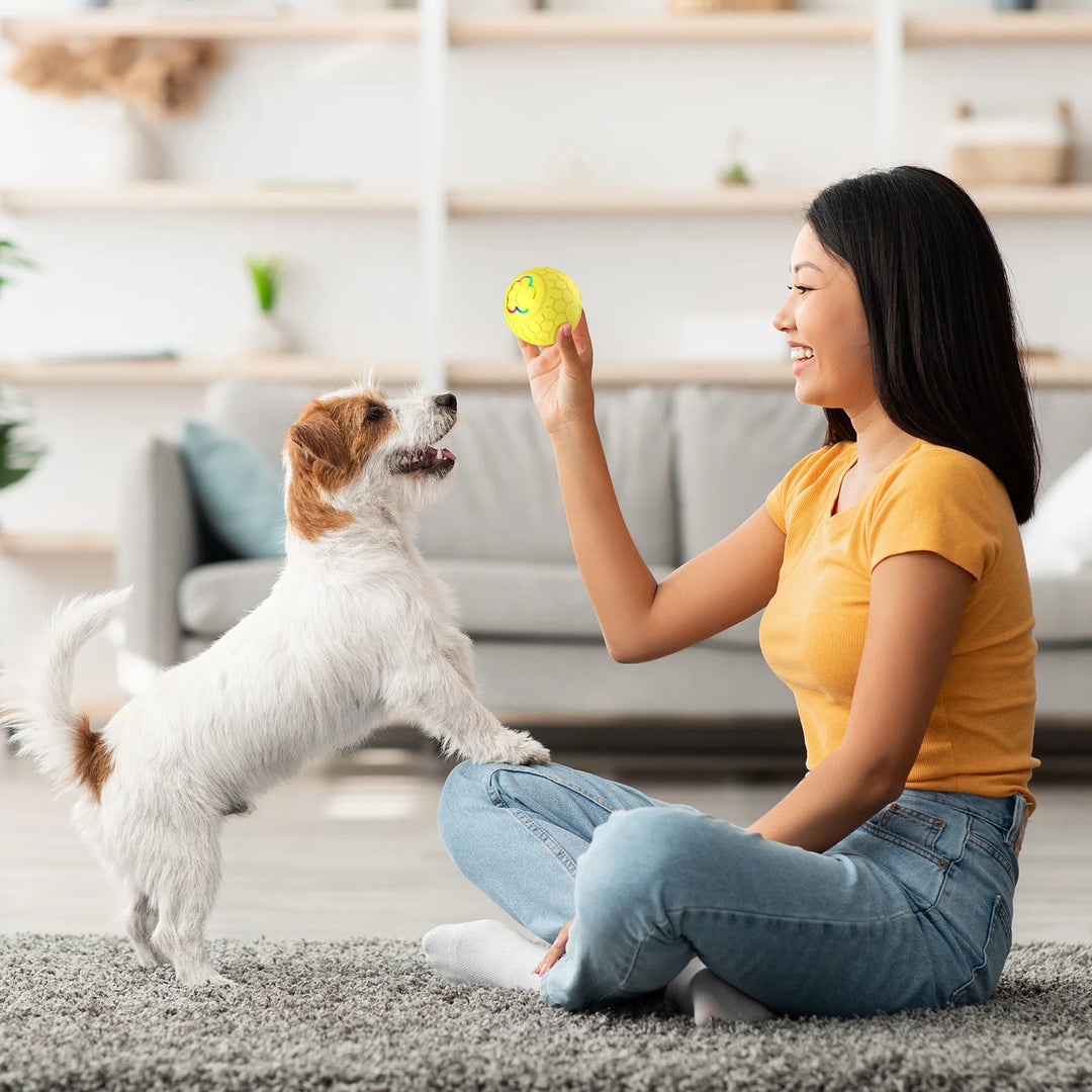 LED bouncing ball for cats