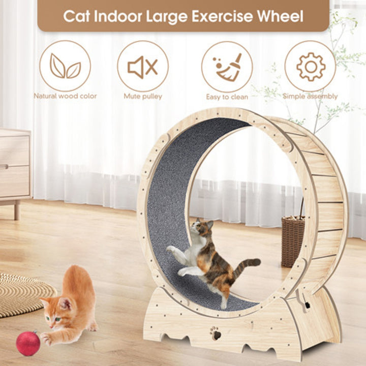 Large cat running wheel indoor use