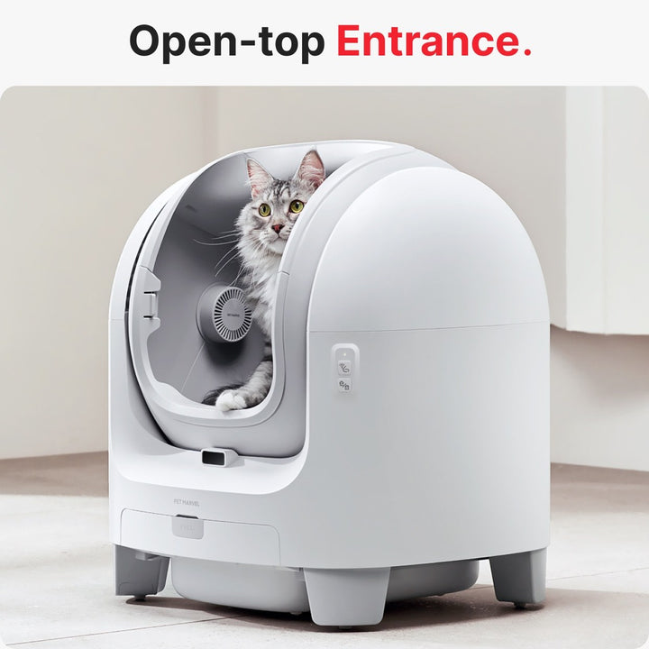 Large open-top litter box