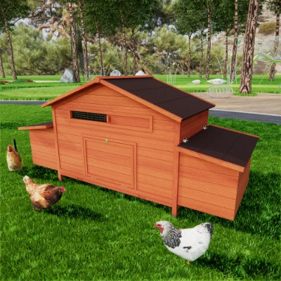 Large wooden chicken coop for outdoors