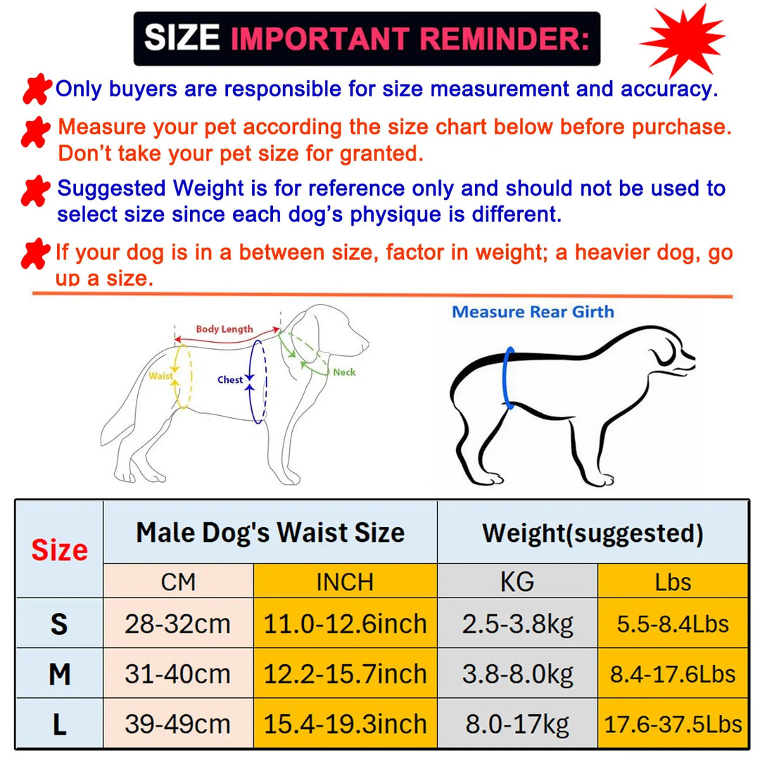 Leak-Proof Pee Pant for Male Dogs
