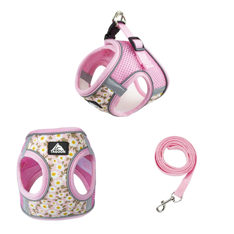 Leash and Harness for Small Dogs