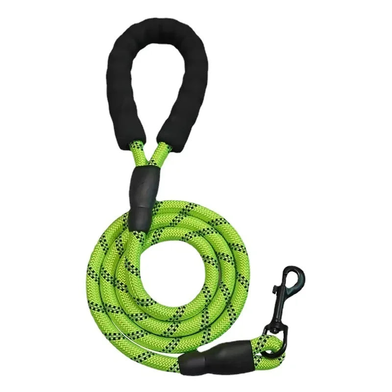 Leash for Small and Medium Dogs