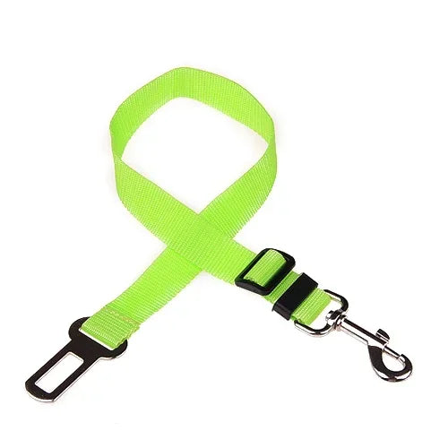 Light Green Belt For Dogs 