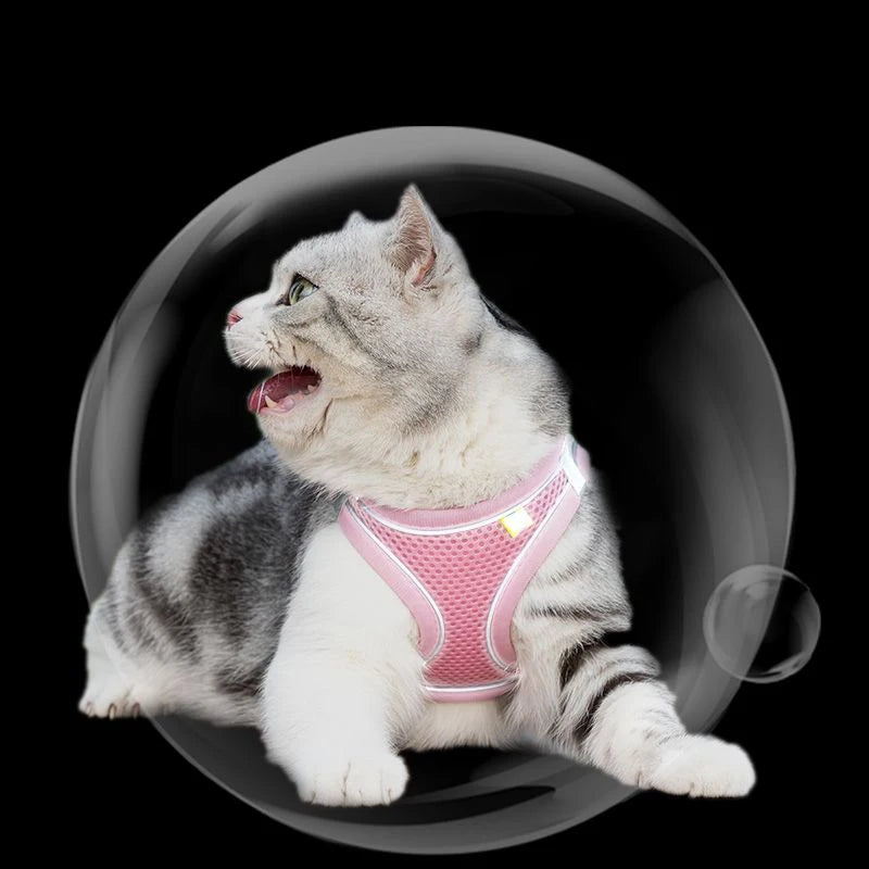 Lightweight Cats Harness