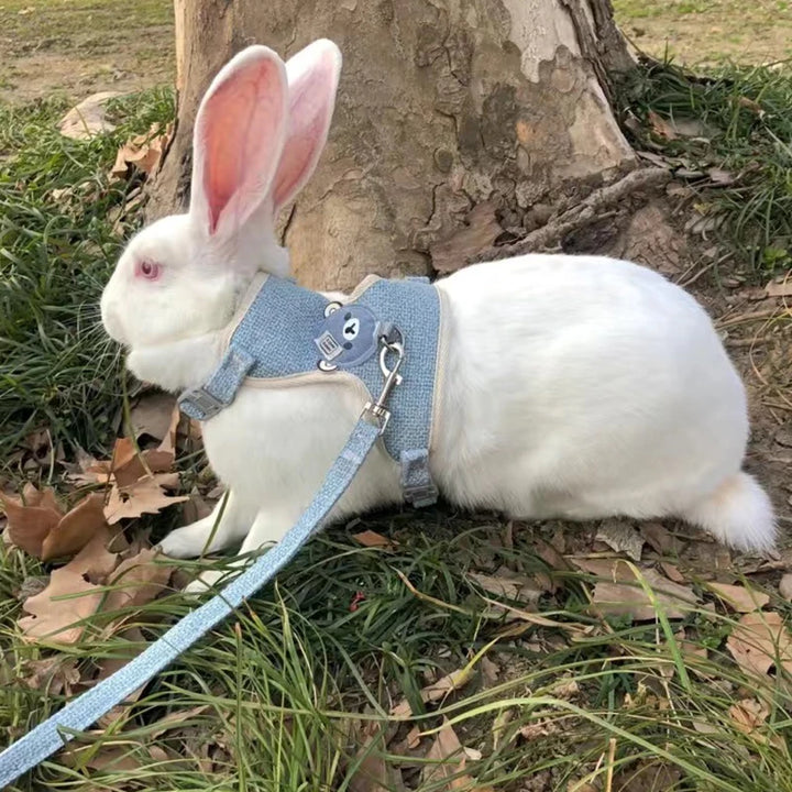 Lightweight Harness for Pet Rabbits