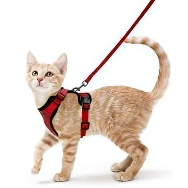 Lightweight Pet Walking Harness