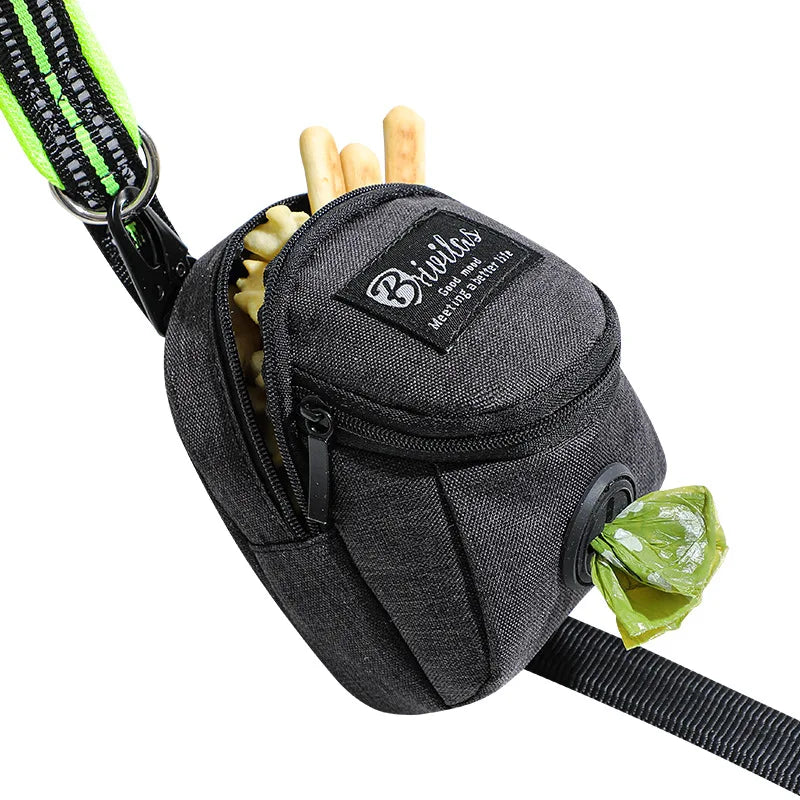 Lightweight dog treat pouch