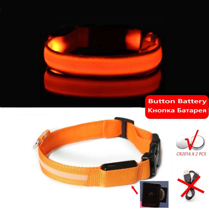 Luminous Dog Collar for Night Use