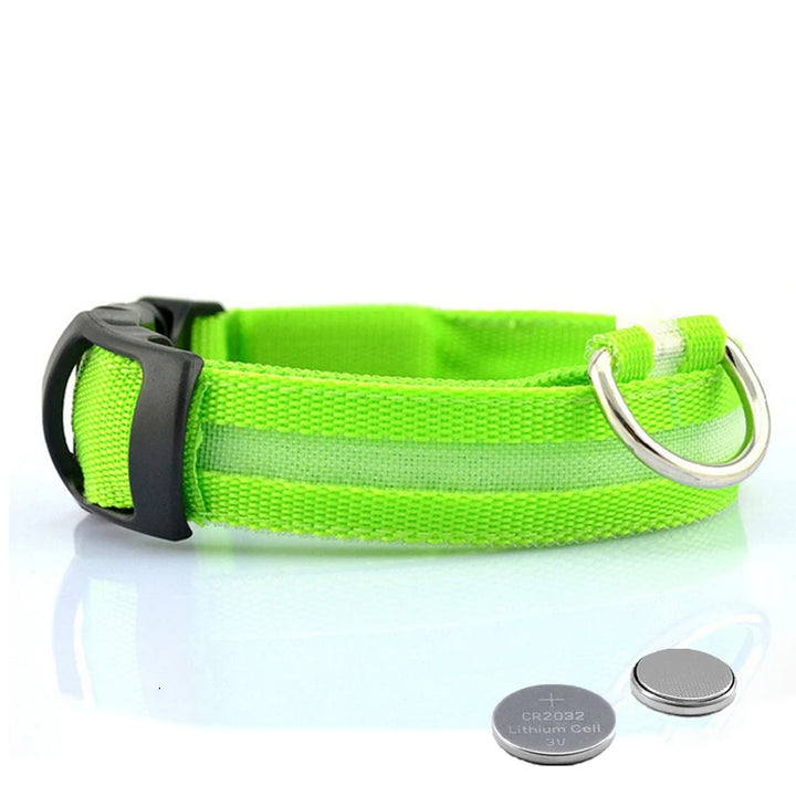 Luminous Dog Collar for Nighttime Walks