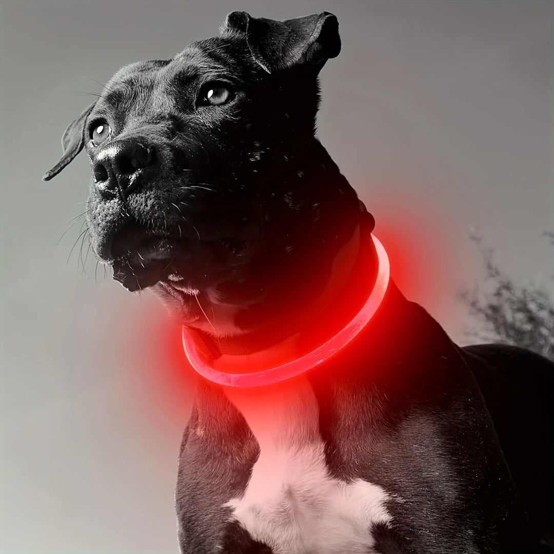 Luminous LED Dog Necklace for Night