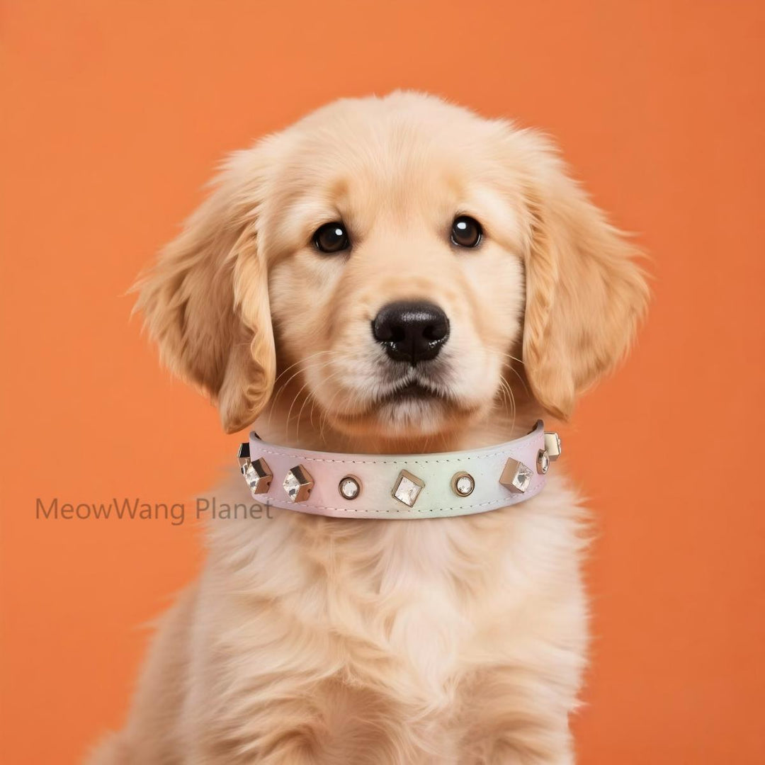 Luxury gemstone pet collar set