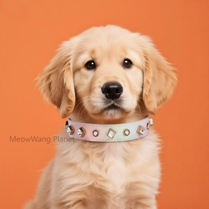 Luxury gemstone pet collar set