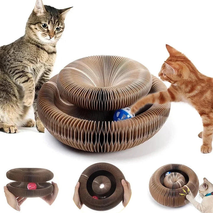 Magic Organ Cat Scratcher Toy
