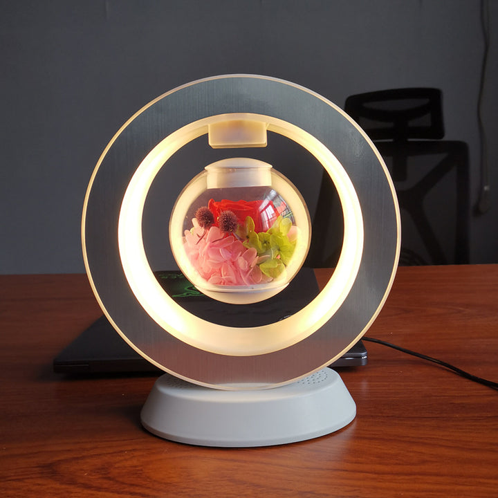 Magnetic Heart Desk Lamp