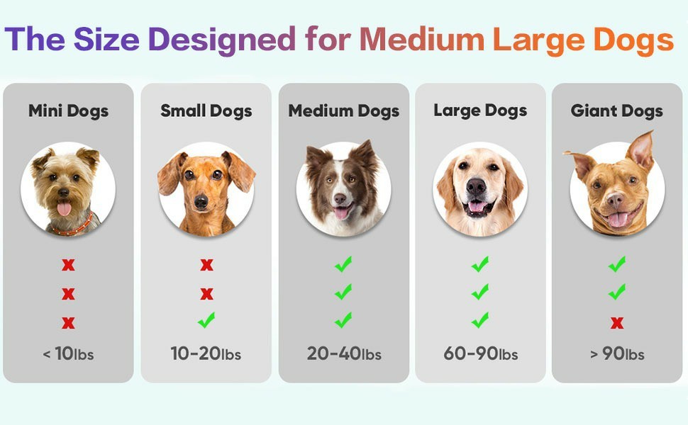 Medium Large Dog Interactive Ball