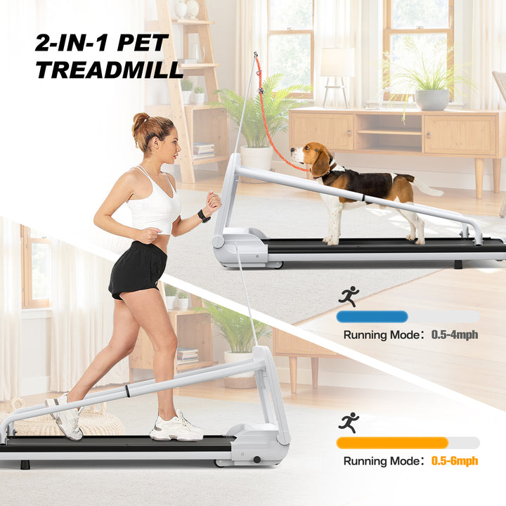 Medium dog treadmill with smart controls and quiet motor