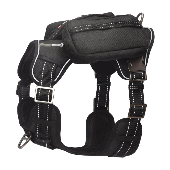 Metal buckle dog harness for training
