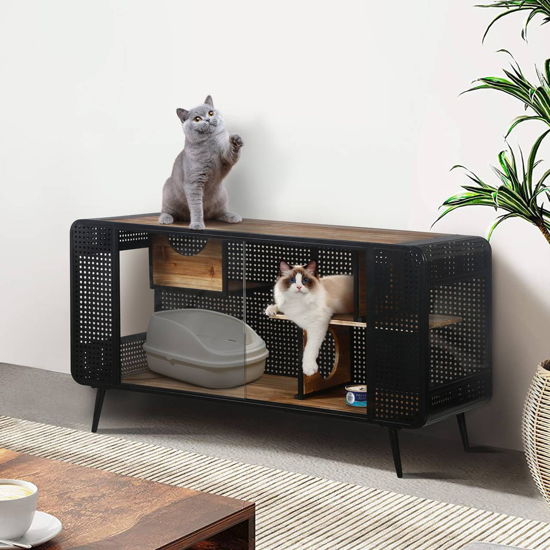 Modern indoor cat condo with glass